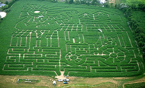2007 Maze – Tractor